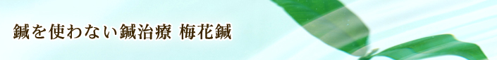 鍼を使わない鍼治療 梅花鍼