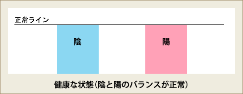 健康な状態（陰と陽のバランスが正常）