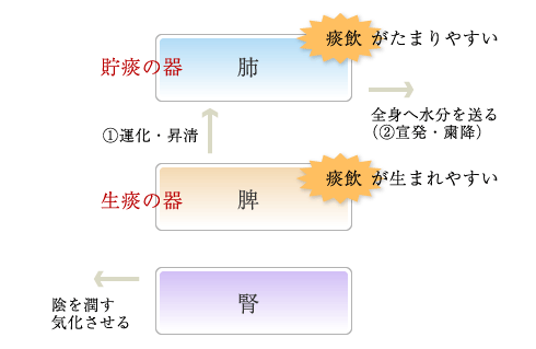 生痰の器・貯痰の器