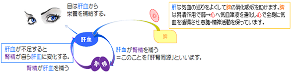 肝は目に開竅する