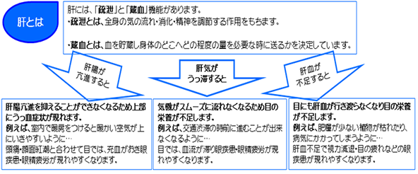 東洋医学的分類