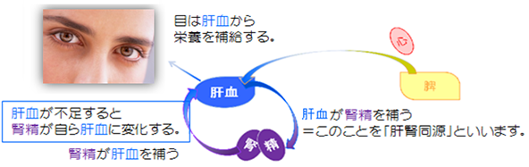 滋陰養血