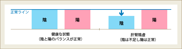 滋補肝腎